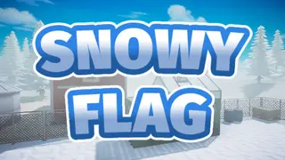Snowy Flag