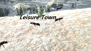 Leisure Town