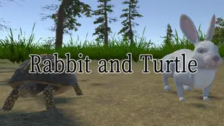 Rabbit and Turtle