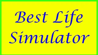Best Life Simulator