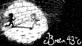 Brain 43℃