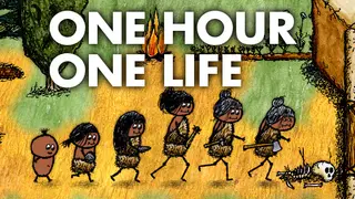 One Hour One Life