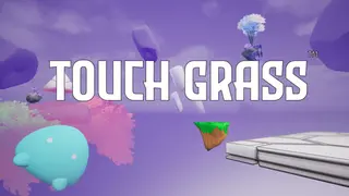 Touch Grass