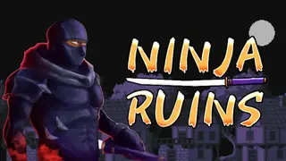 Ninja Ruins