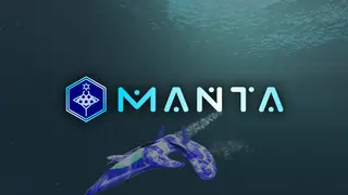 Manta