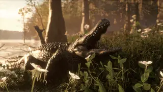 theHunter: Call of the Wild - Mississippi Acres Preserve - Xbox One