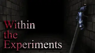 Within The Experiments