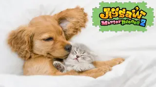 The Magical Bond Between Animals - Switch