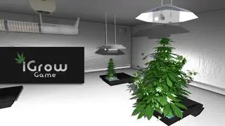 iGrow Game
