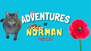 Adventures of Norman the Cat