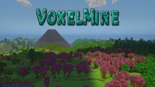 VoxelMine
