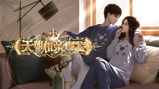 天朝相亲图鉴