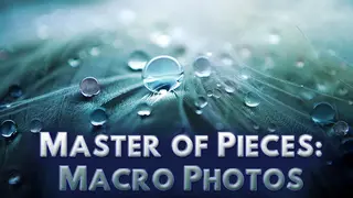 Macro Photos