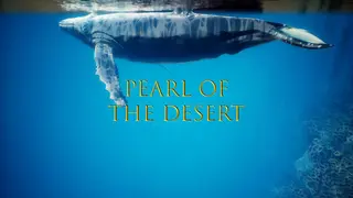 Pearl of the Desert