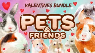 Pets and Friends Valentines Bundle - Switch
