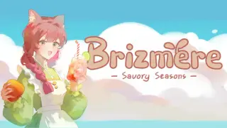 Savory Seasons: Brizmere