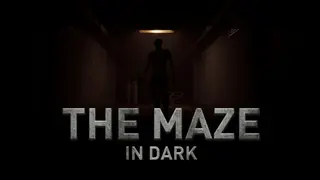 THE MAZE : in Dark