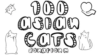 100 Asian Cats - Donation M