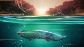 The Catch: Carp & Coarse Deluxe Edition - Xbox One