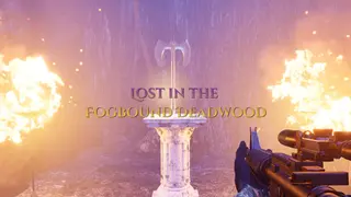 Lost in the Fogbound Deadwood