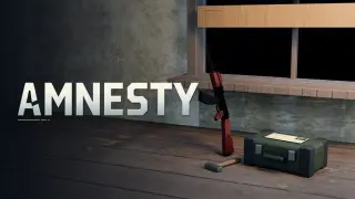 Amnesty