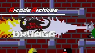 Arcade Archives THE TOWER OF DRUAGA - Switch