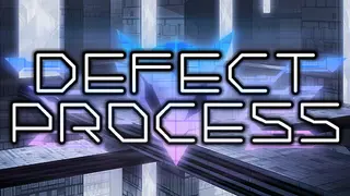 Defect Process