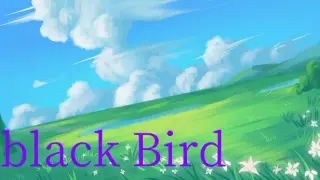 black Bird