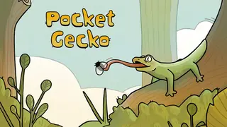 Pocket Gecko