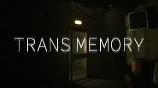 TransMemory