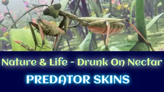 Predator Skins - Drunk On Nectar