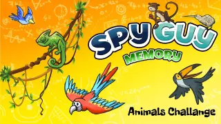 Spy Guy Memory Animals Challange - Switch