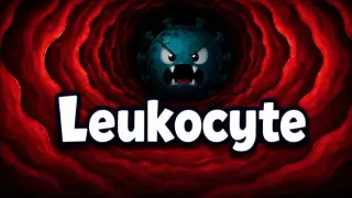 Leukocyte