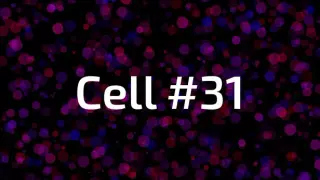 Cell #31