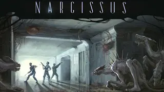 Narcissus