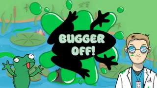 Bugger Off!