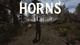 Horns