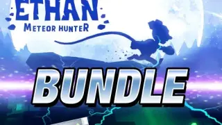 A Ch'ti Bundle - Switch