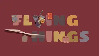 Flying Things