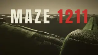 Maze 1211