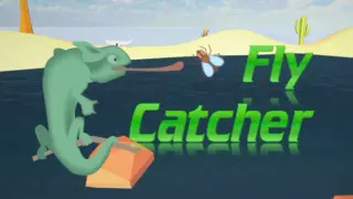 FlyCatcher