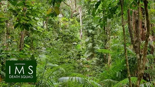 Lucky Pikinini - IMS Death Squad