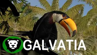 Galvatia