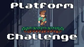 Platform Challenge