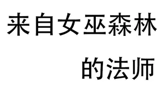 来自女巫森林的法师