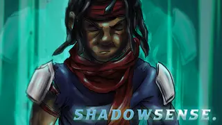 ShadowSENSE.