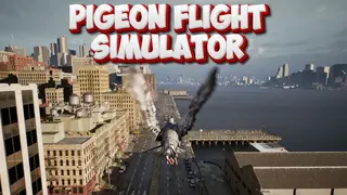 Pigeon Flight Simulator