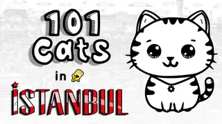 101 Cats in Istanbul