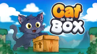 Cat in the Box