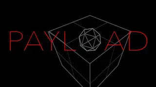 Payload